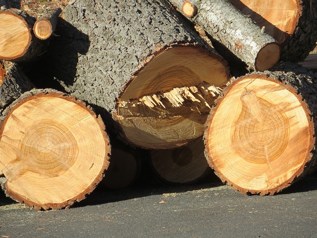 firewood-314756_640.jpg